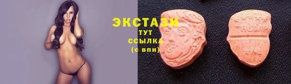 PSILOCYBIN Бородино